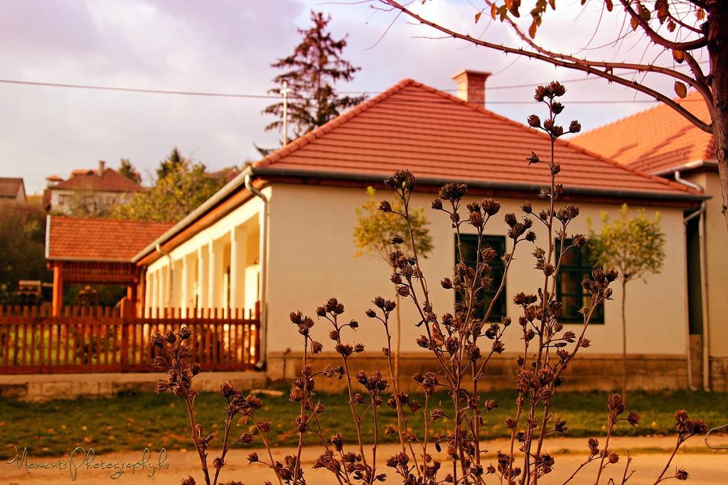 Barta Pince Vendeghaz Mad Hotel Buitenkant foto